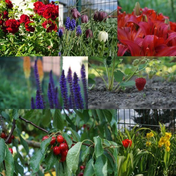 Gartenblick Trebbin Exteriér fotografie