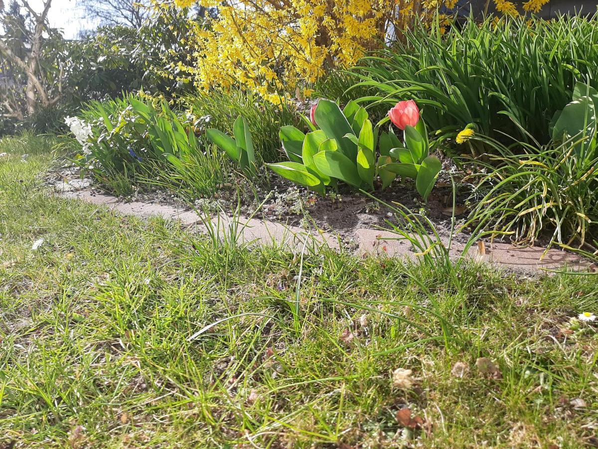 Gartenblick Trebbin Exteriér fotografie